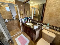 Dover Parkview (D5), Condominium #453294901